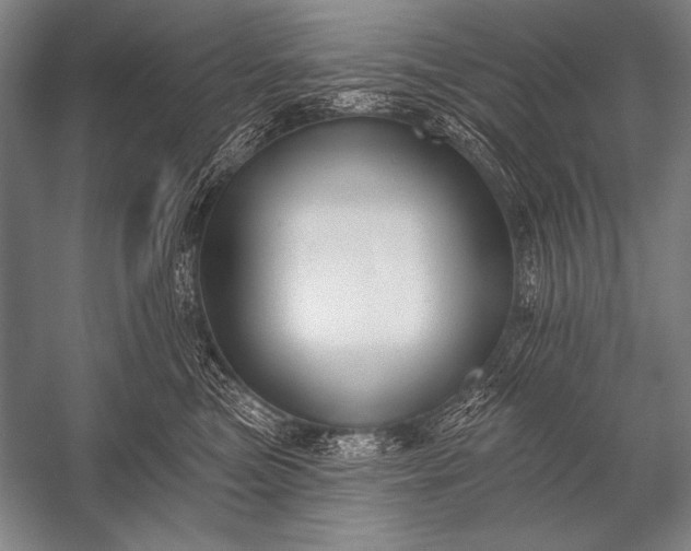 X0000053100473200507251635