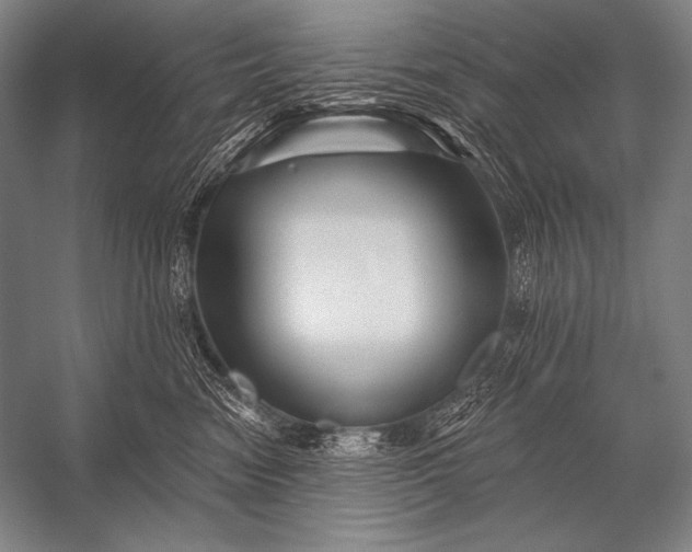 X0000053100474200507251635