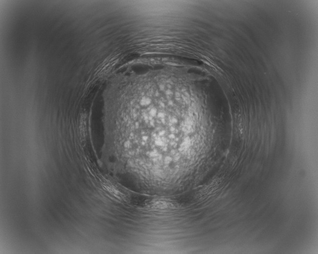 X0000053100475200507251635