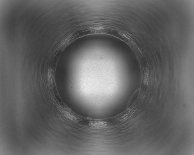 X0000053100476200507251635