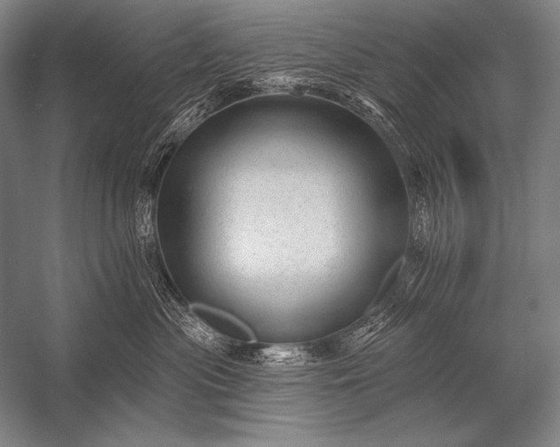 X0000053100477200507251635