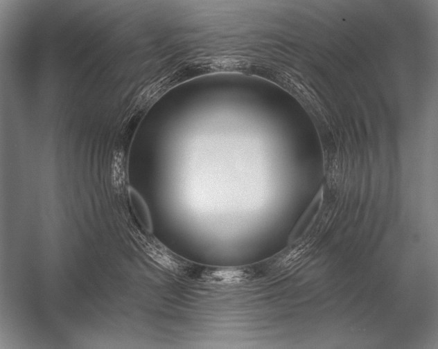 X0000053100478200507251635