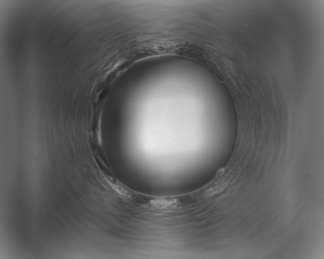 X0000053100480200507251635