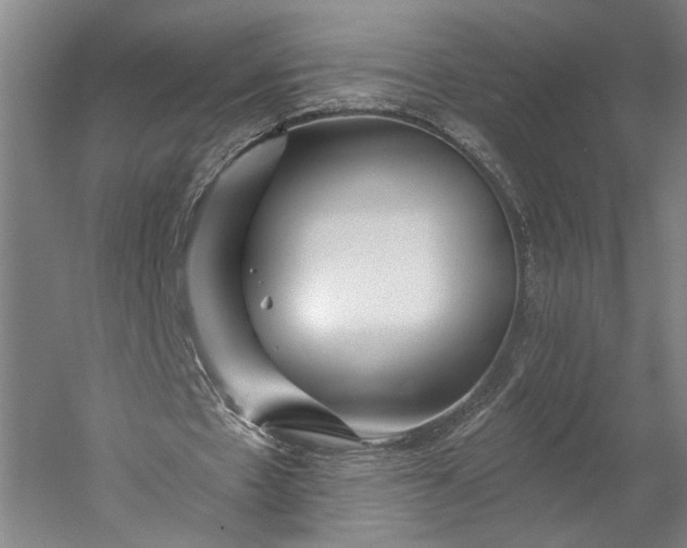 X0000053100481200507251635