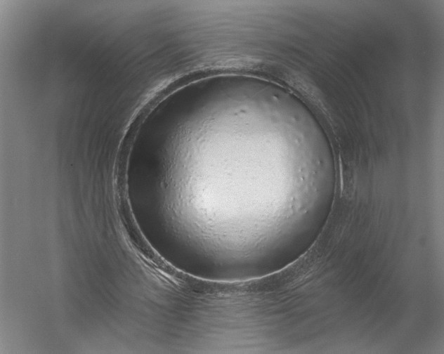 X0000053100483200507251635