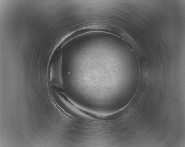 X0000053100484200507251635