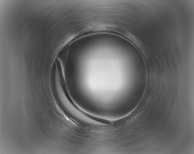 X0000053100485200507251635
