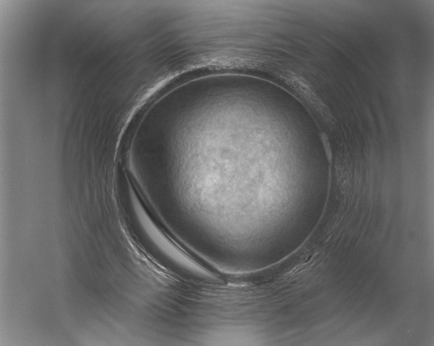 X0000053100488200507251635