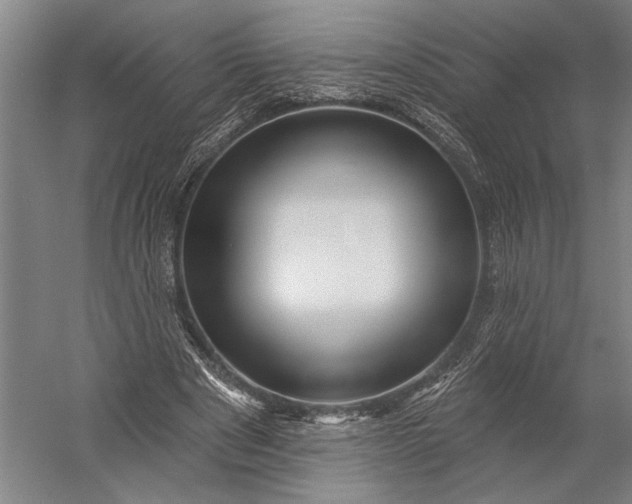 X0000053100489200507251635