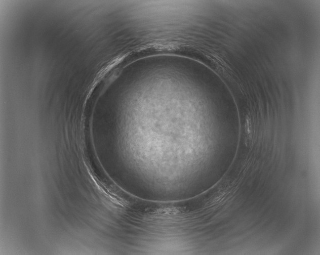 X0000053100492200507251634