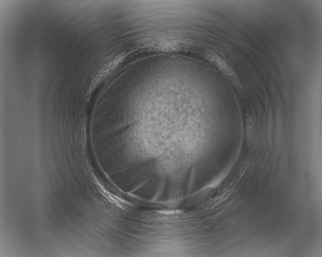 X0000053100493200507251634