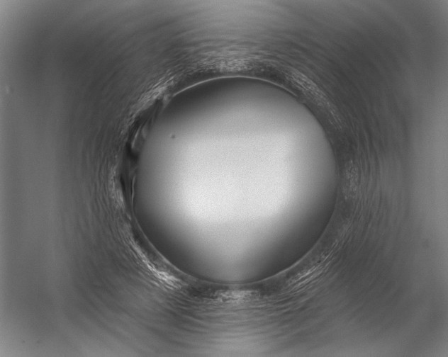 X0000053100497200507251634