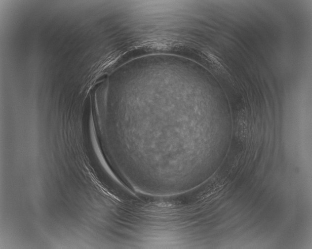 X0000053100500200507251634