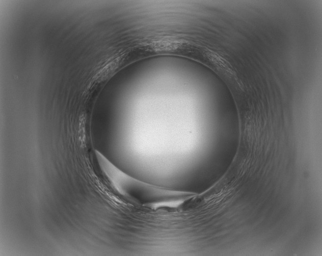X0000053100501200507251634