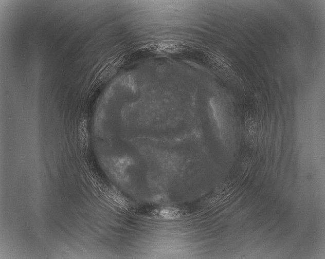 X0000053100506200507251634