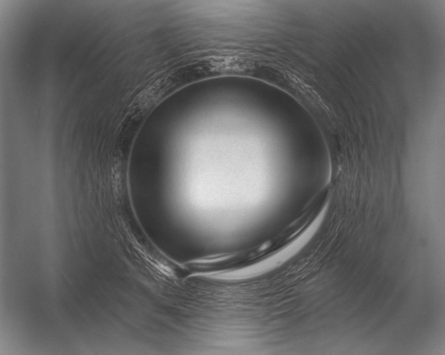 X0000053100513200507251634