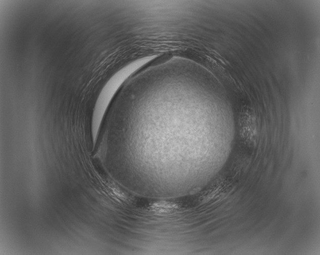 X0000053100515200507251634