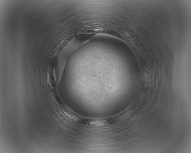X0000053100516200507251634