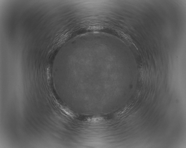X0000053100517200507251634