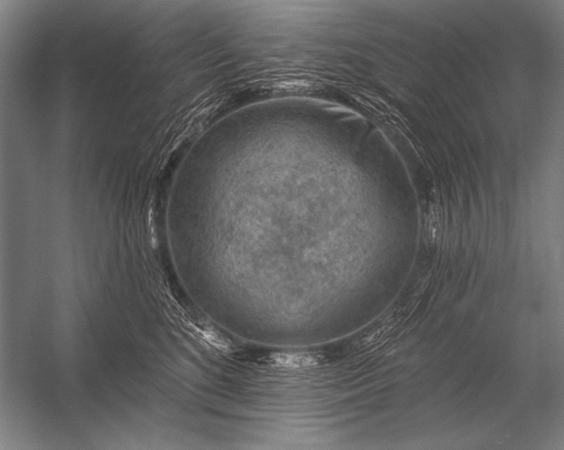 X0000053100520200507251634