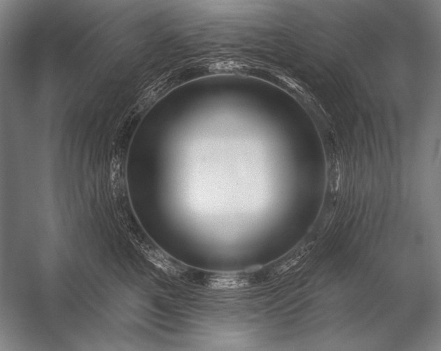 X0000053100521200507251634