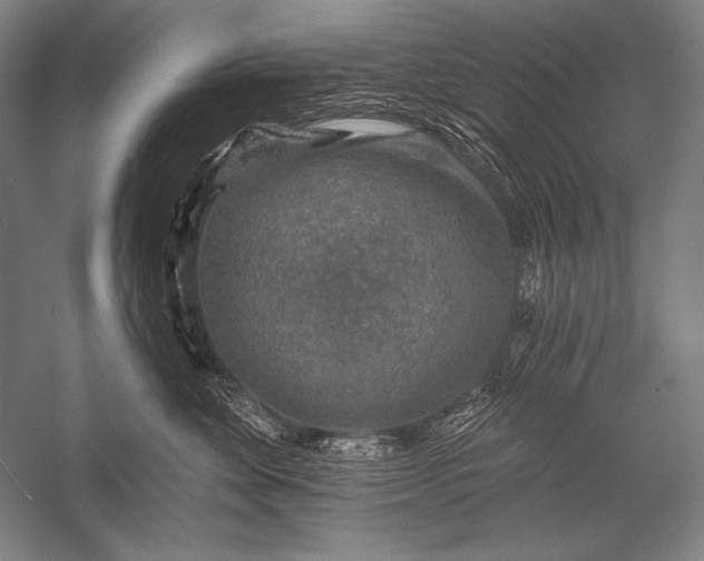 X0000053100524200507251634