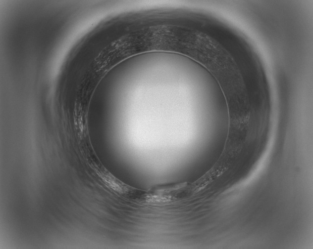X0000053100525200507251634