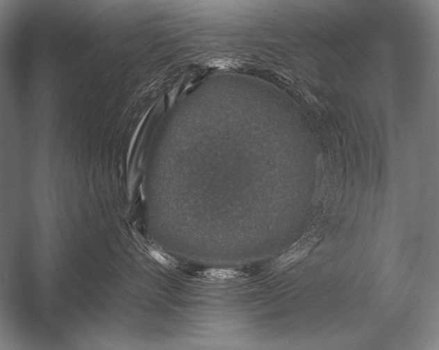 X0000053100528200507251634