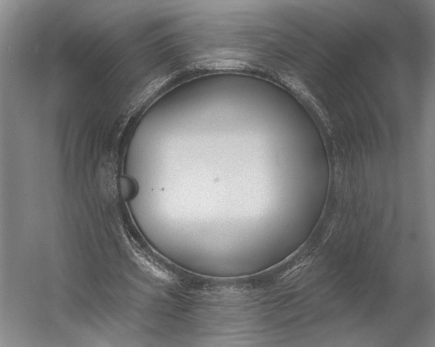 X0000053100533200507251633