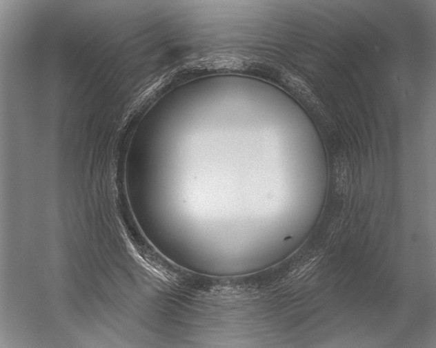 X0000053100538200507251633