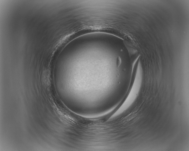 X0000053100540200507251633