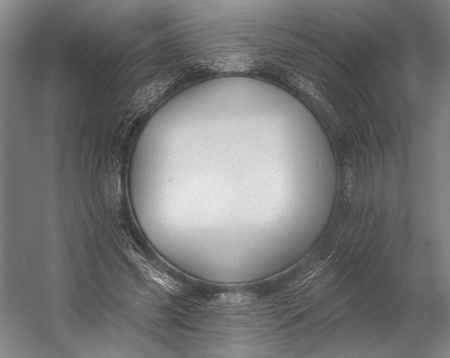 X0000053100541200507251633