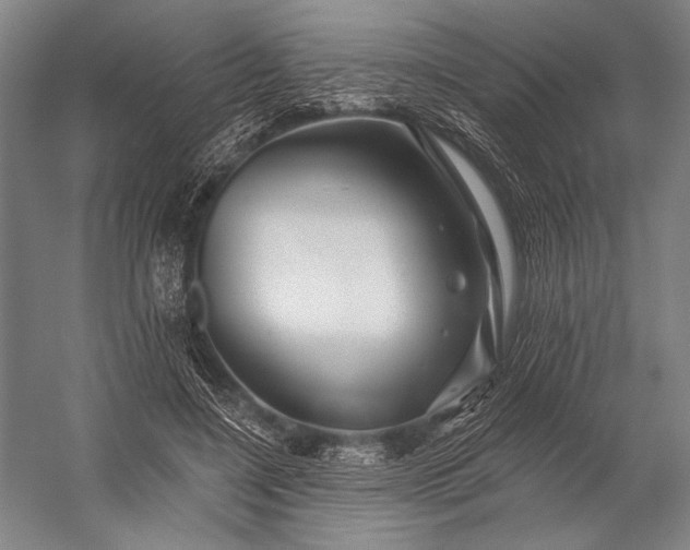 X0000053100548200507251633