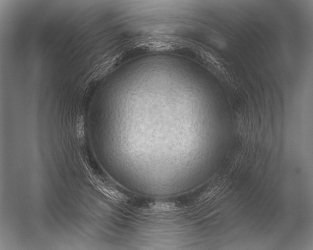 X0000053100549200507251633