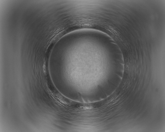 X0000053100552200507251633