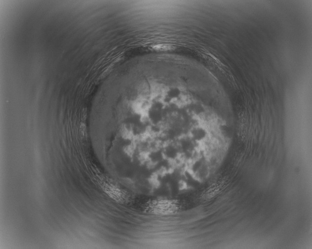 X0000053100553200507251633