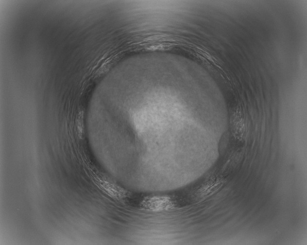 X0000053100554200507251633