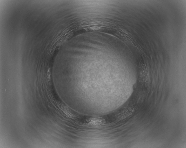 X0000053100555200507251633
