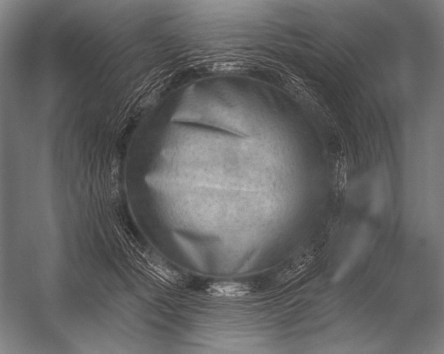 X0000053100557200507251634