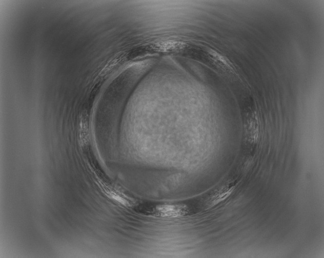 X0000053100558200507251634