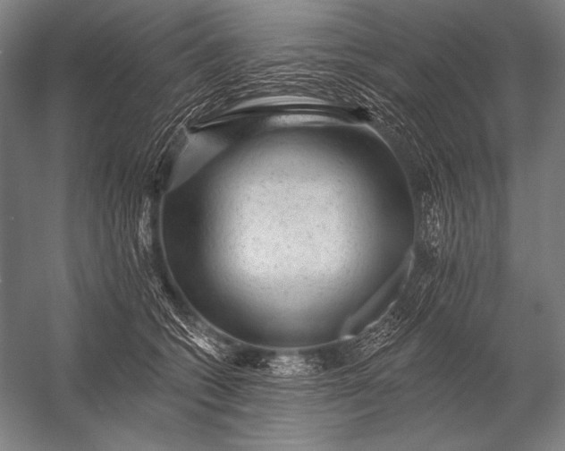 X0000053100562200507251634