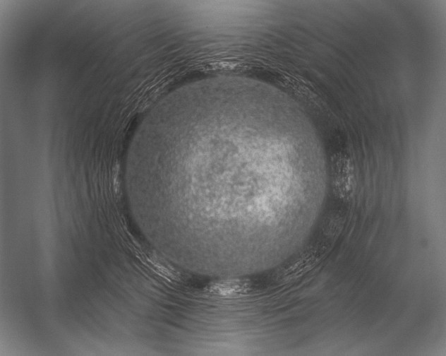 X0000053100563200507251634