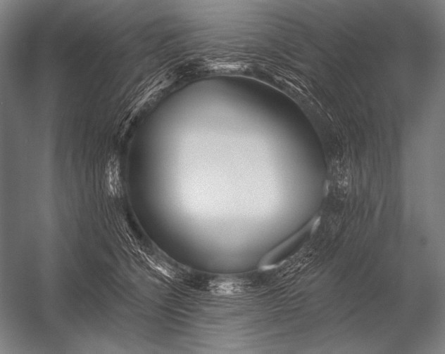 X0000053100564200507251634
