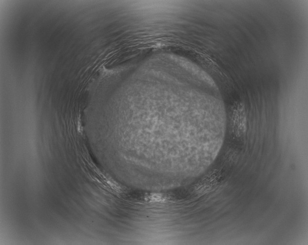 X0000053100565200507251634