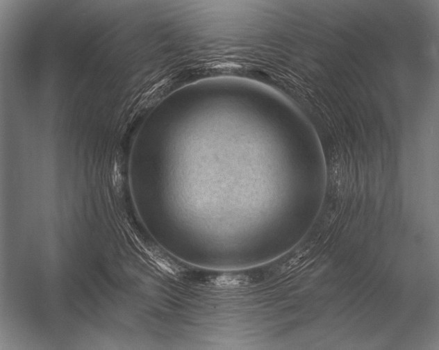 X0000053100566200507251634