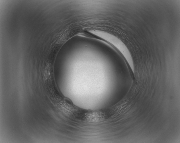X0000053100567200507251634