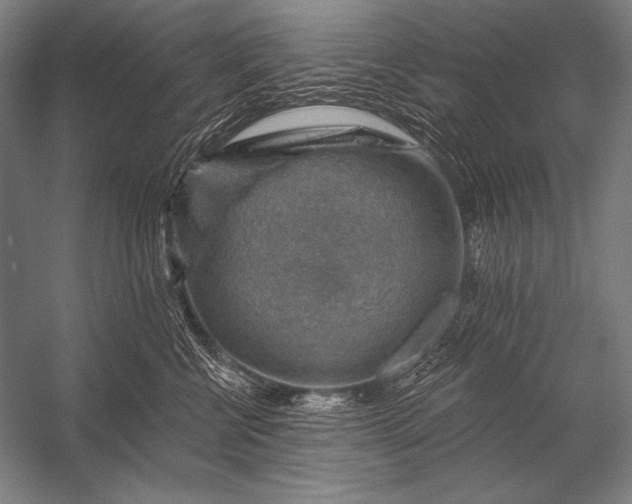 X0000053100570200507251634
