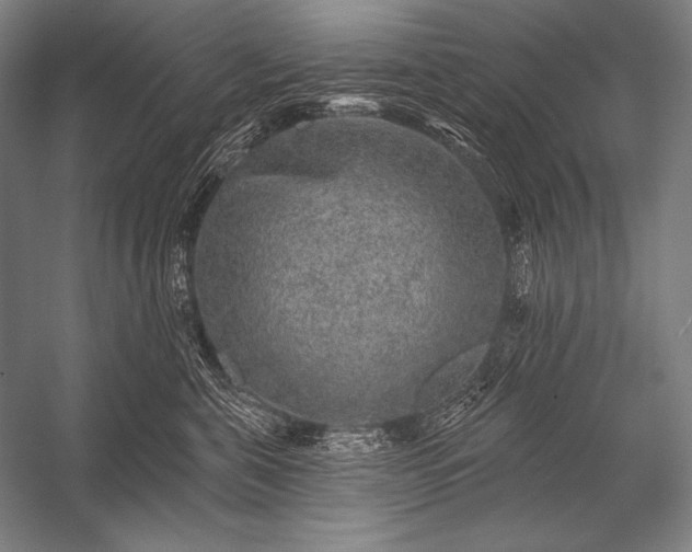 X0000053100571200507251634