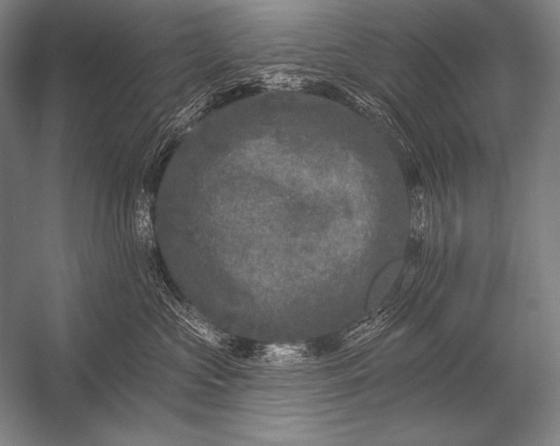 X0000053100573200507251634