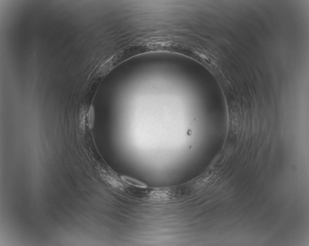 X0000053100574200507251634